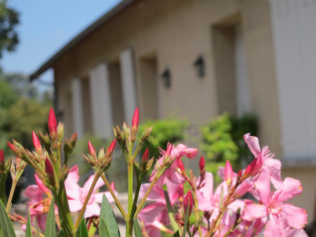 Ferienwohnung Les Communs Du Manoir Écully Zimmer foto