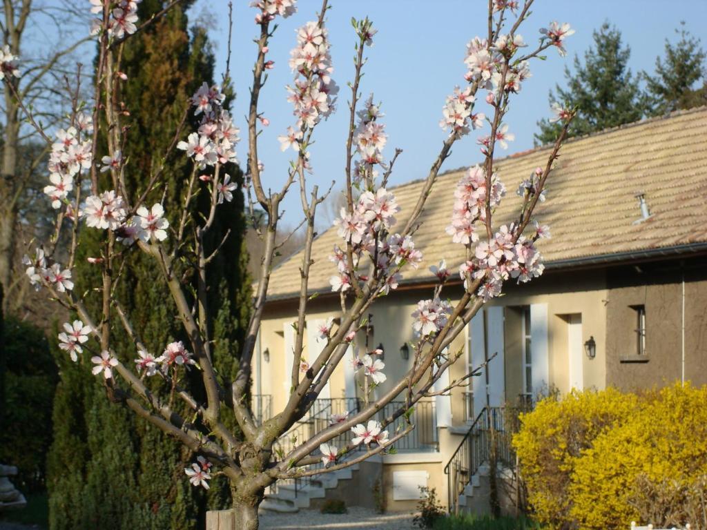 Ferienwohnung Les Communs Du Manoir Écully Exterior foto