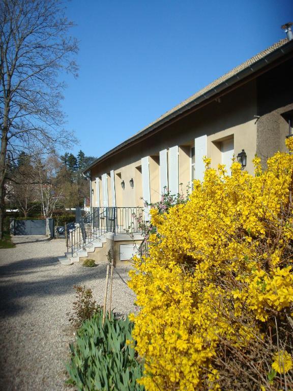 Ferienwohnung Les Communs Du Manoir Écully Exterior foto