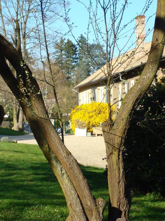 Ferienwohnung Les Communs Du Manoir Écully Exterior foto